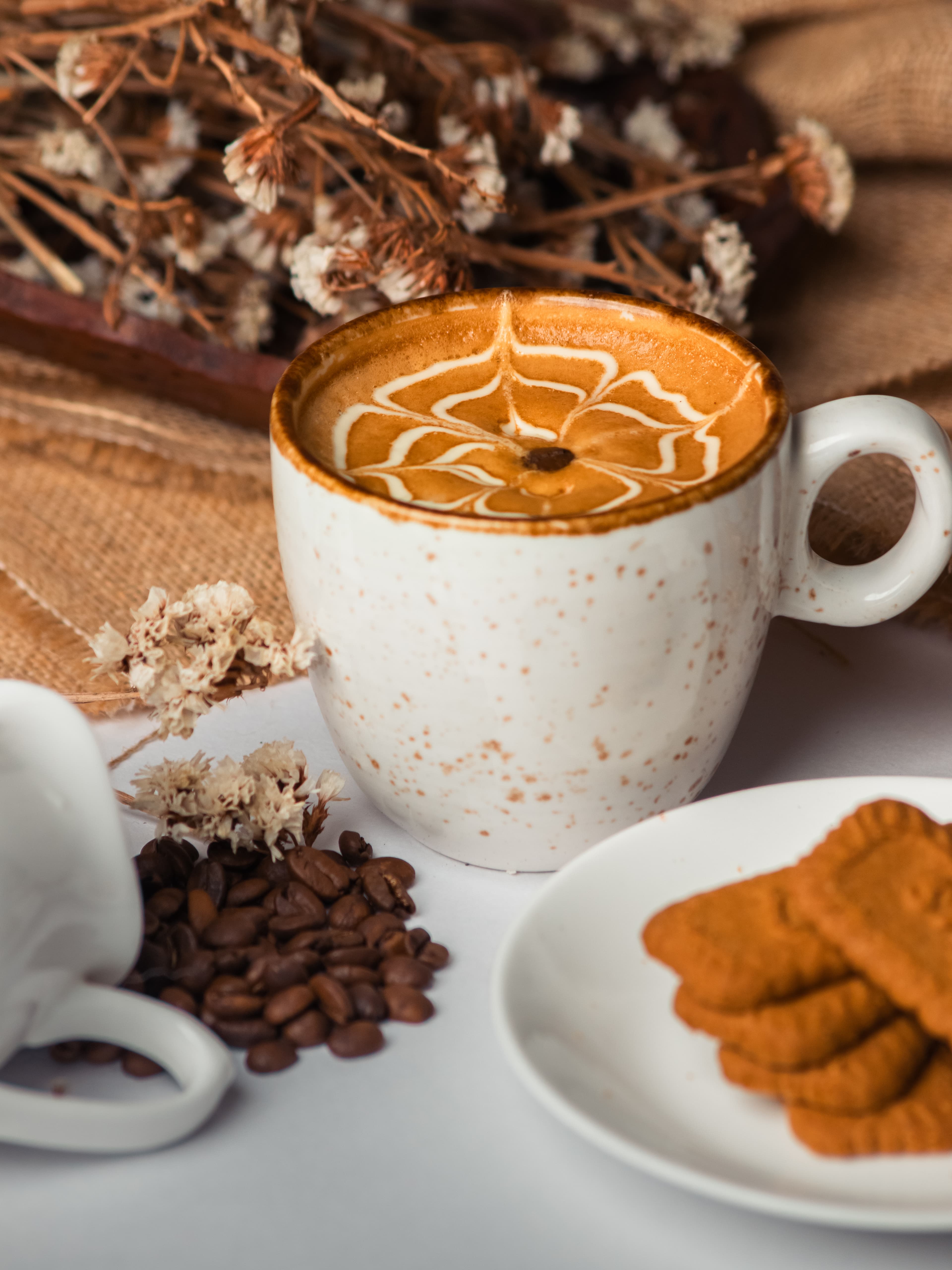 Biscoff Latte (Hot)